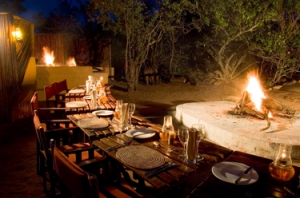 Best Beach Wine and Wilderness Vacation in South Africa