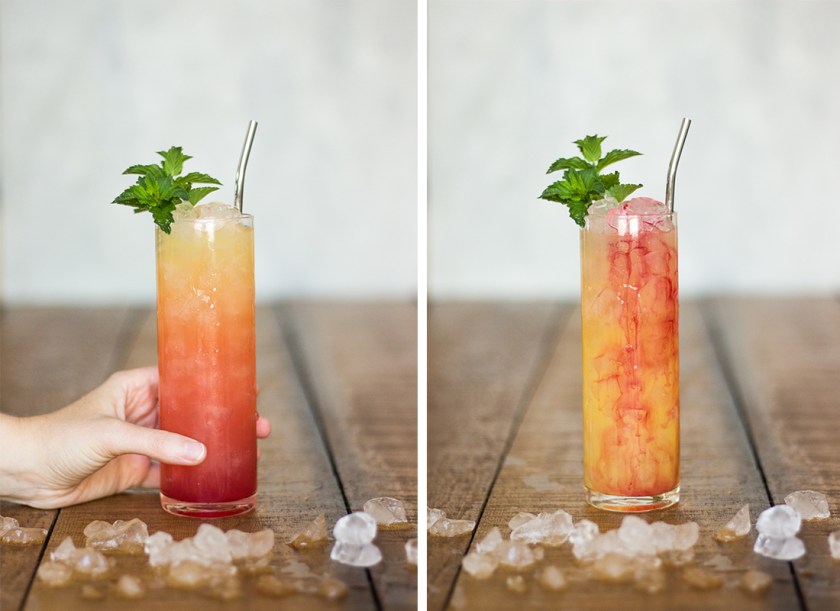 Hibiscus Tequila Sunset // The Shared Sip
