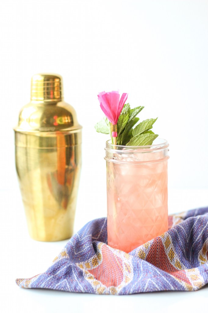 Jalapeno-Infused Mezcal + Blood Orange Shrub Cocktail // The Shared Sip
